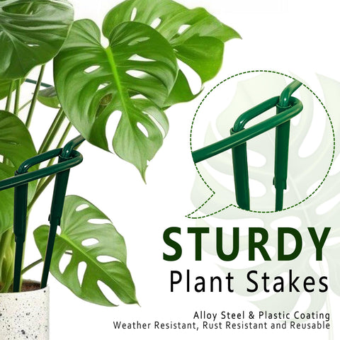 Soupiar 16-inch height stabilizes tomato seedlings and small climbers