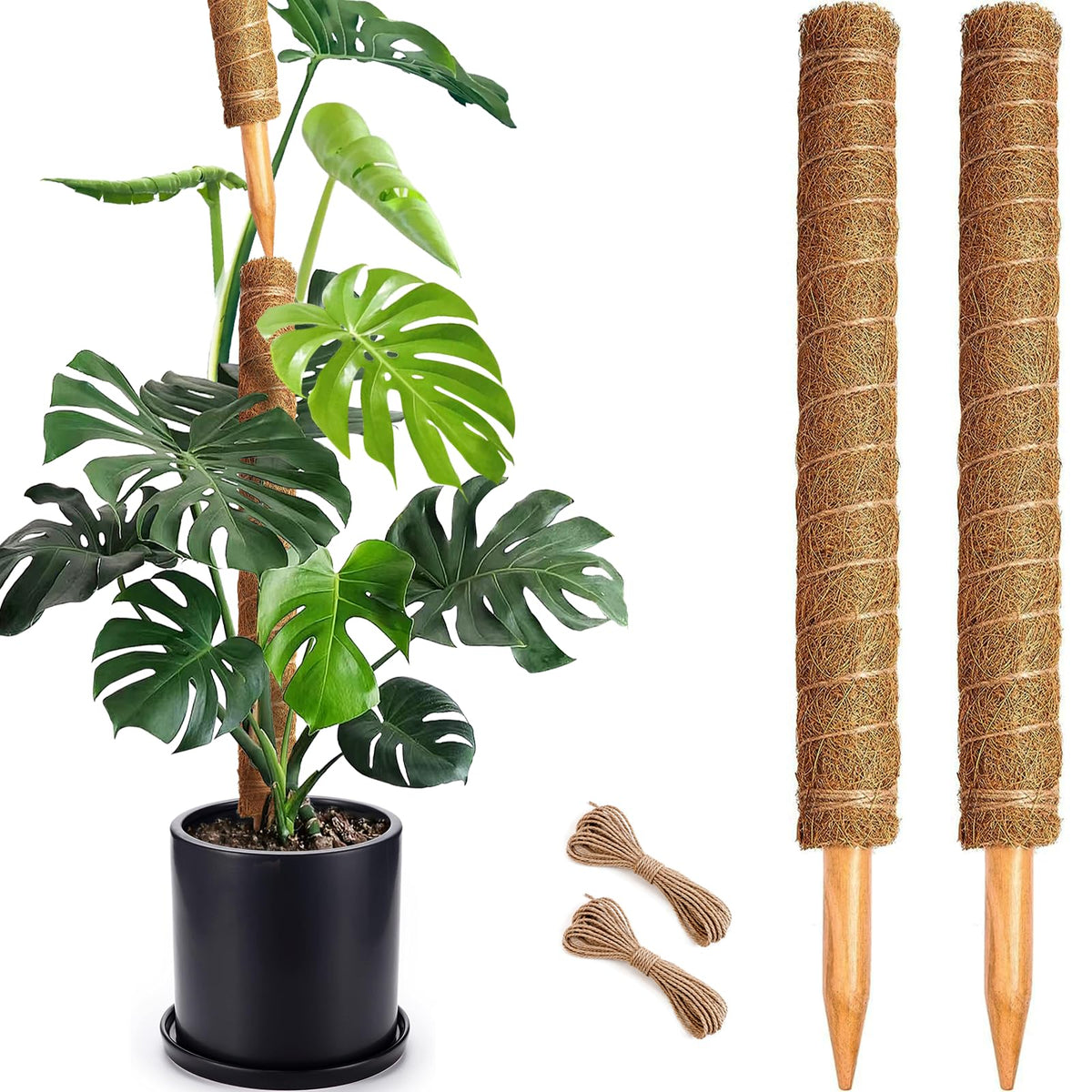 Soupiar 2-pack 22-inch coir moss poles for sturdy indoor plant support