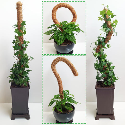 Soupiar bendable moss pole is easy to shape and install.