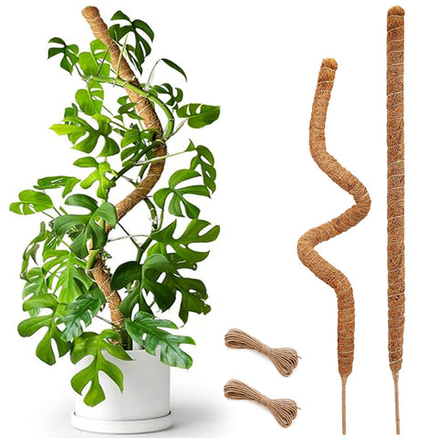 Soupiar 25-inch bendable moss pole with coconut fiber for climbing plants.