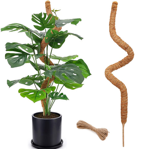 Soupiar 48-inch moss pole assembly supports tall indoor plants with natural coir fibers.