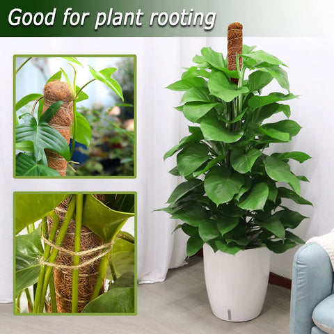Soupiar bendable moss pole shape options help customize plant support.