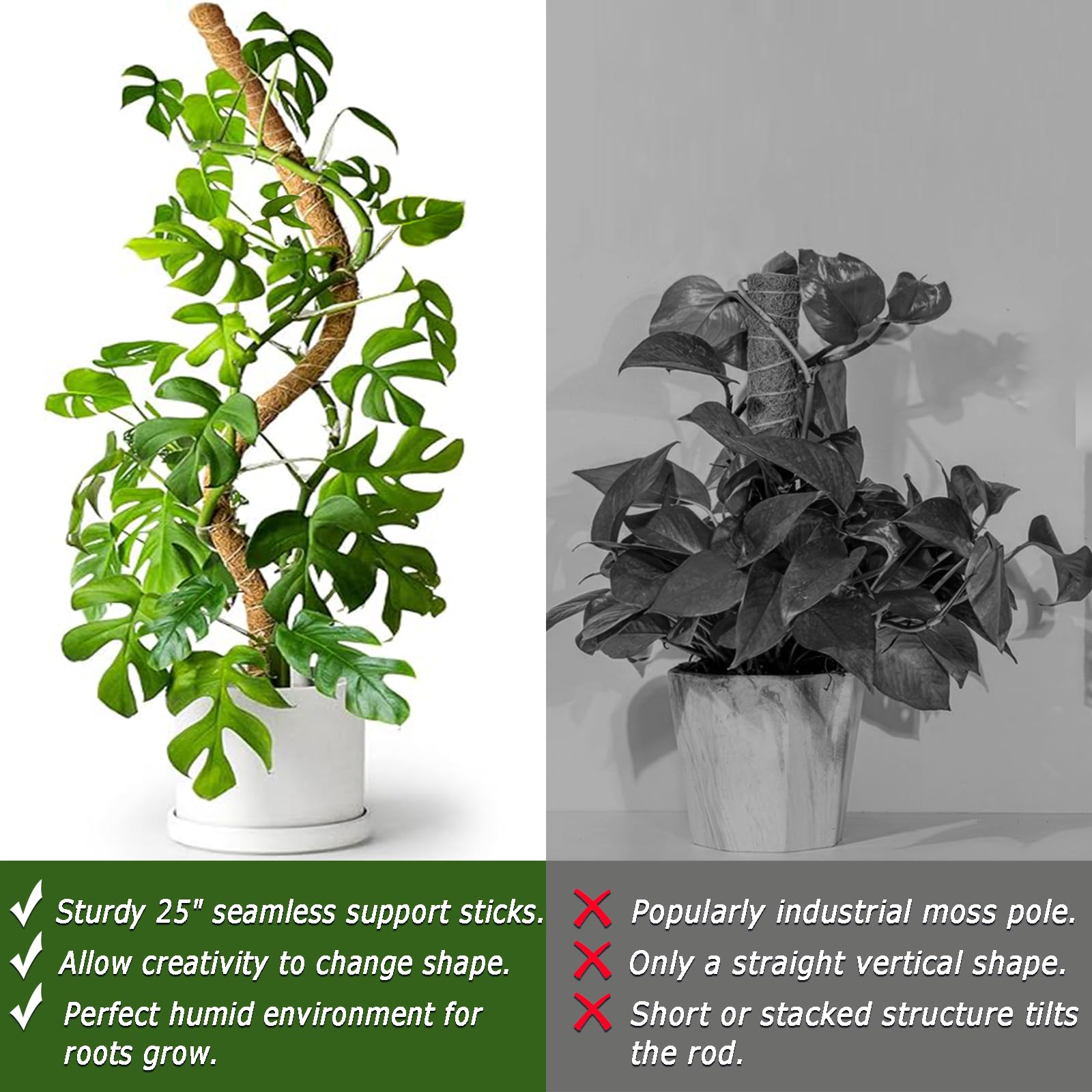 Soupiar coconut coir moss pole retains moisture and aids air roots.