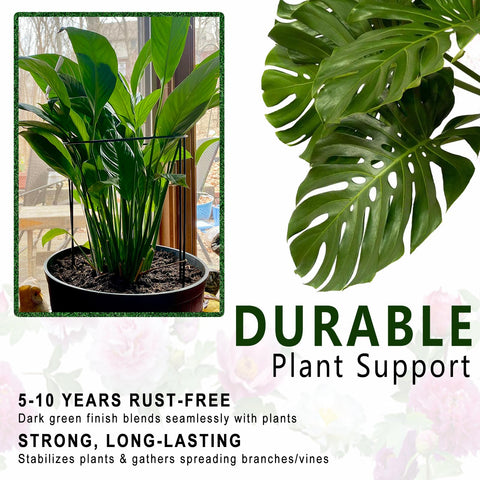 Soupiar indoor/outdoor stake for pots and beds