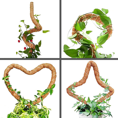Soupiar monstera and other climbers benefit from this moss pole.