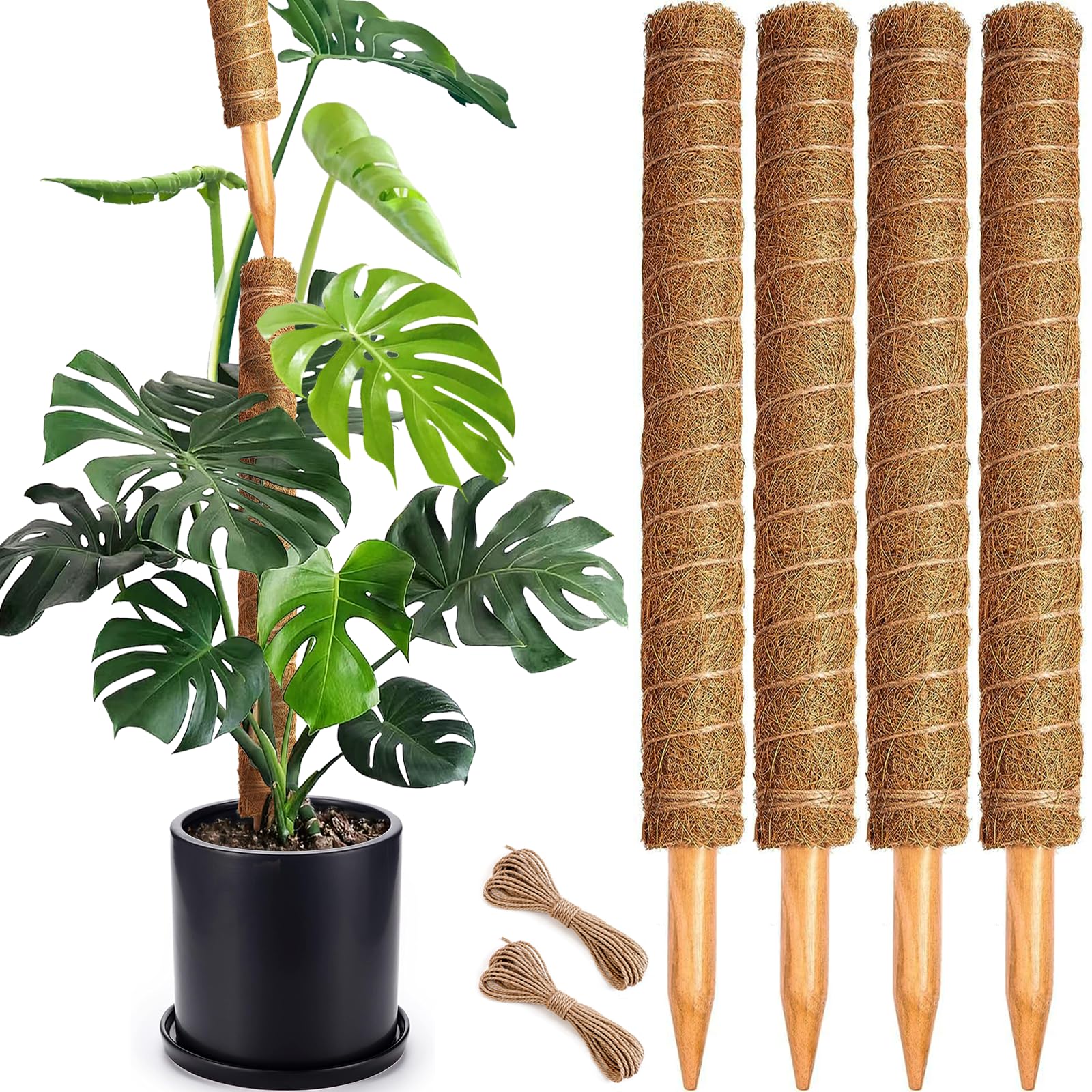 Soupiar moss pole 22-inch assembled provides sturdy support for climbing plants.