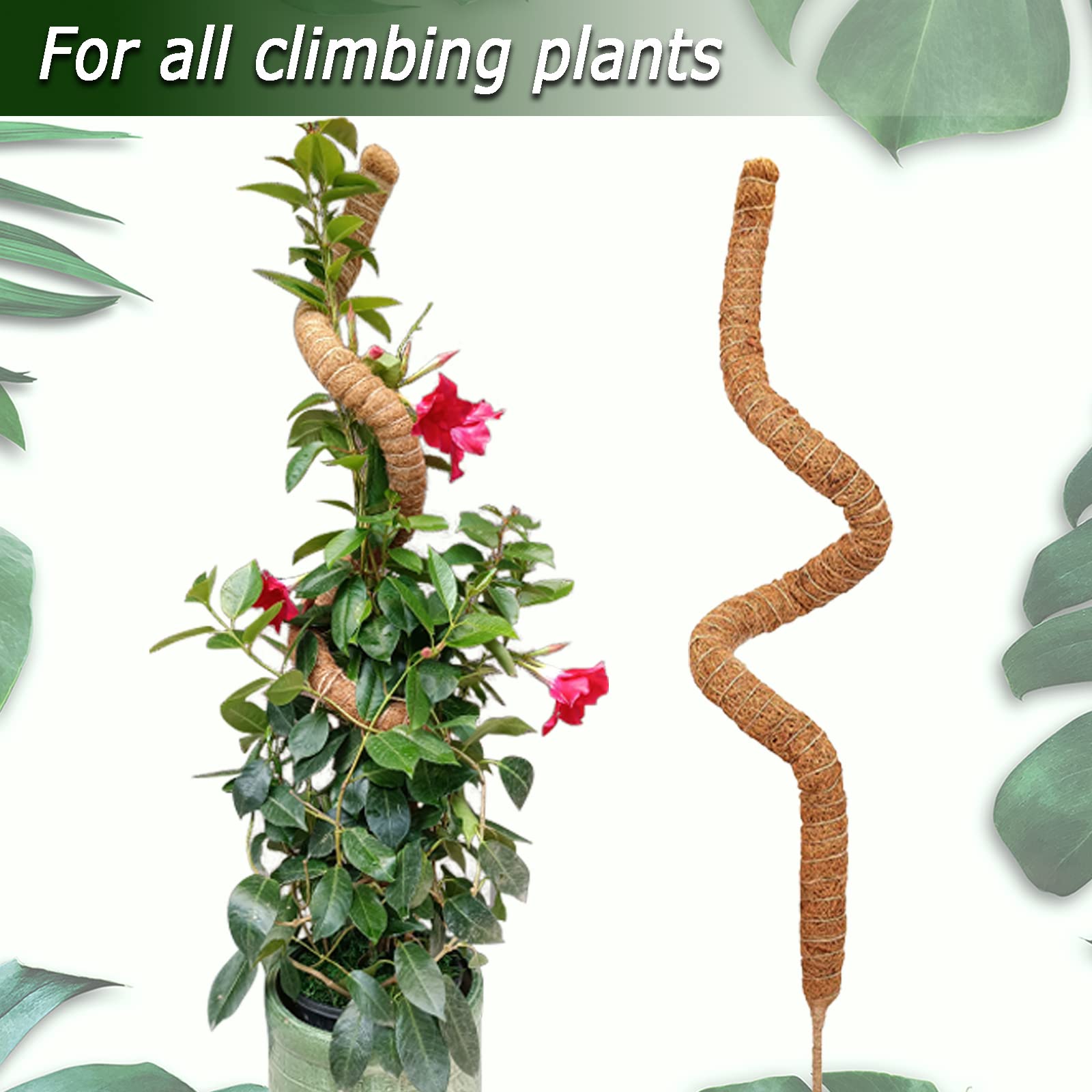 Soupiar moss pole uses coconut coir for moisture and root attachment.