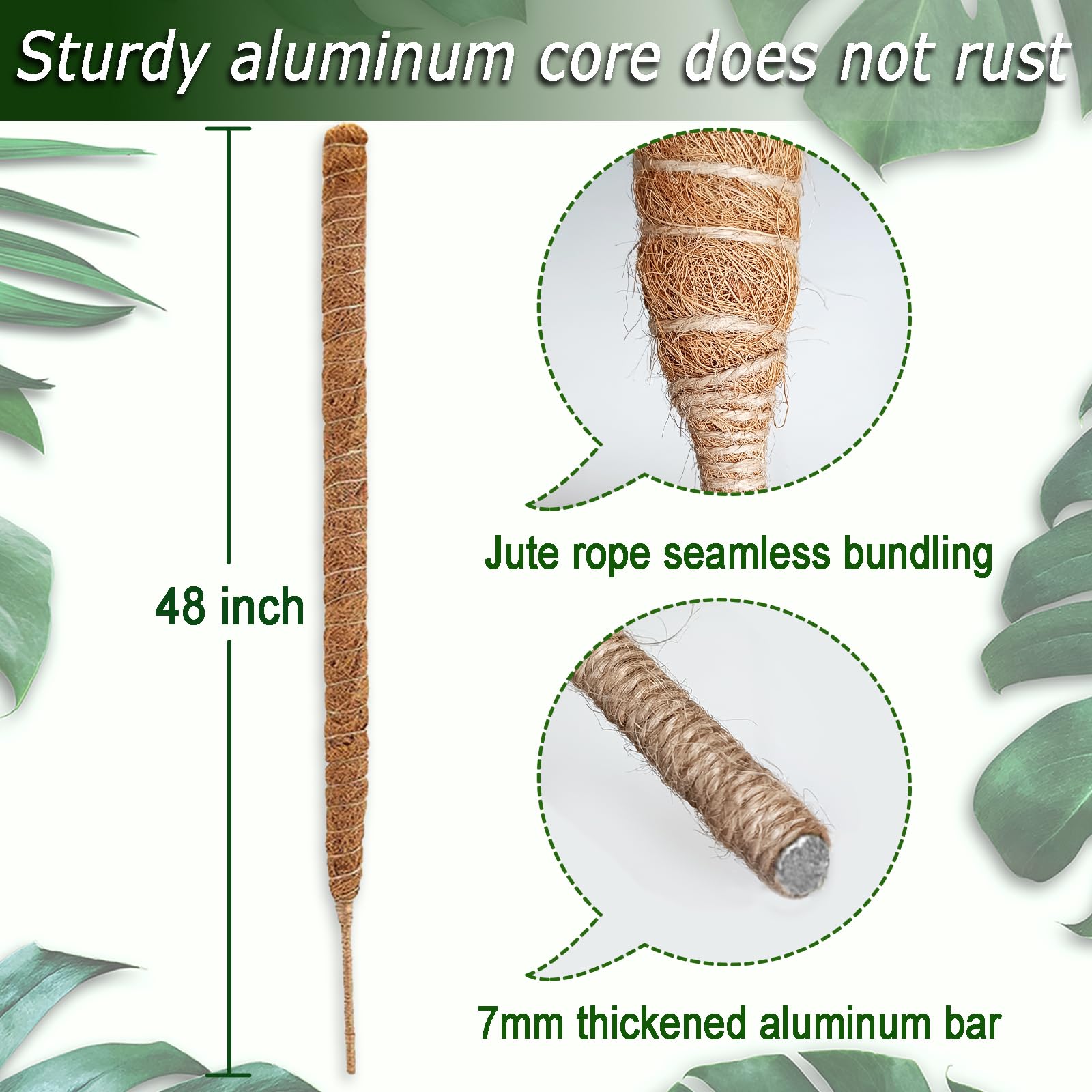 Soupiar moss pole inserted into soil provides sturdy climbing structure.
