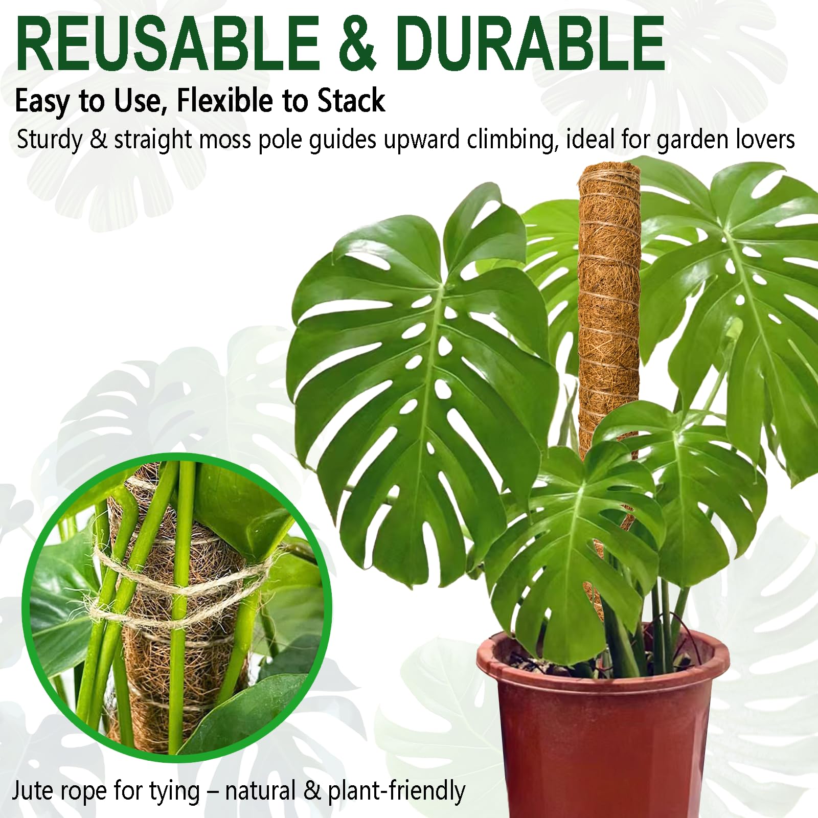 Soupiar natural coir fiber retains moisture to support roots.