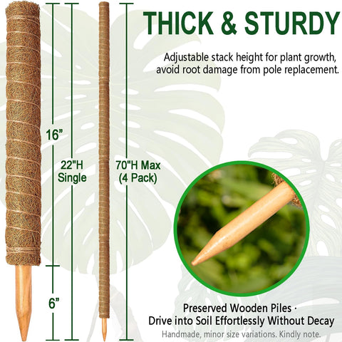 Soupiar moss pole with wooden stake inside offers stable assembly.