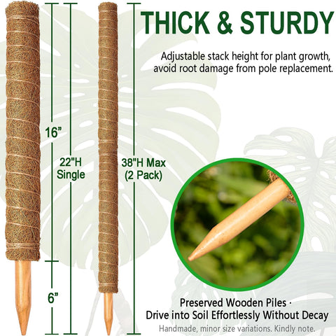 Soupiar thick 1.8-inch diameter moss pole for stable upward growth
