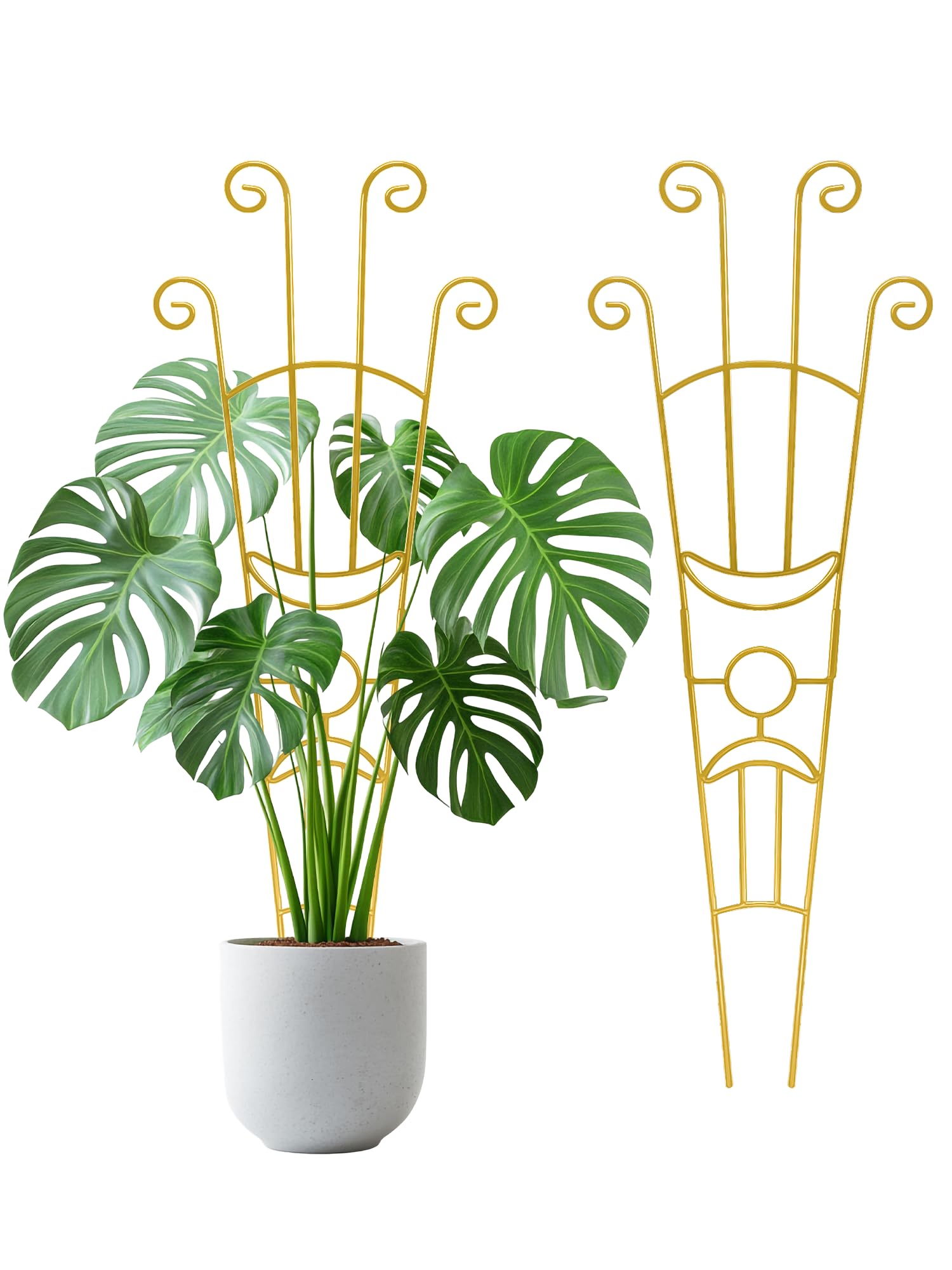 Sousac 33-inch tall expandable trellis in gold supports potted plants and guides vertical growth.