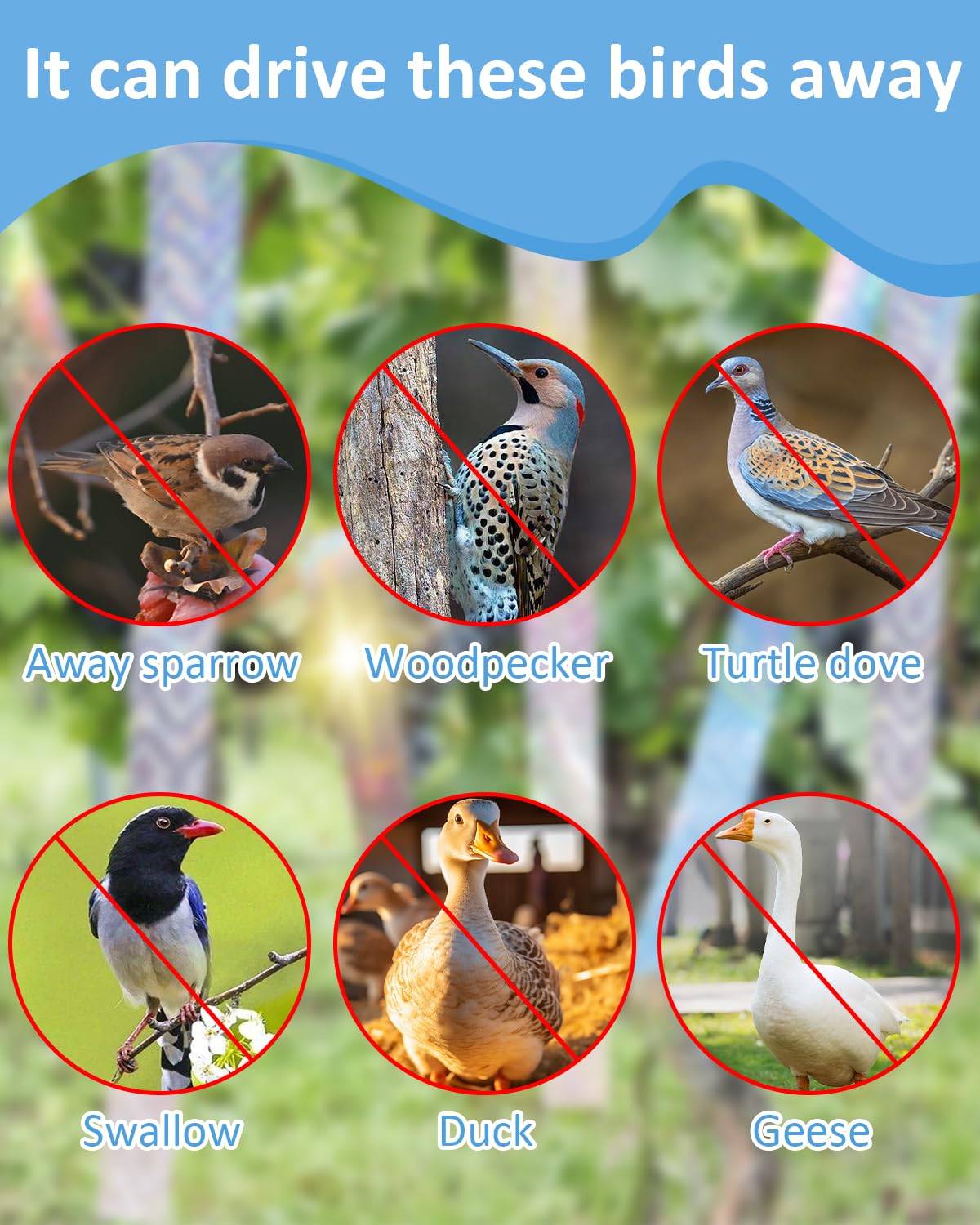 Sousac bird tape decorates garden spaces while deterring birds