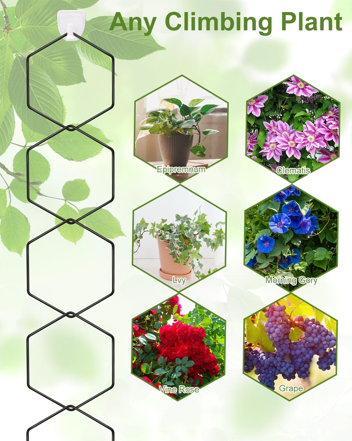 Sousac decorative trellis adds modern charm to spaces.