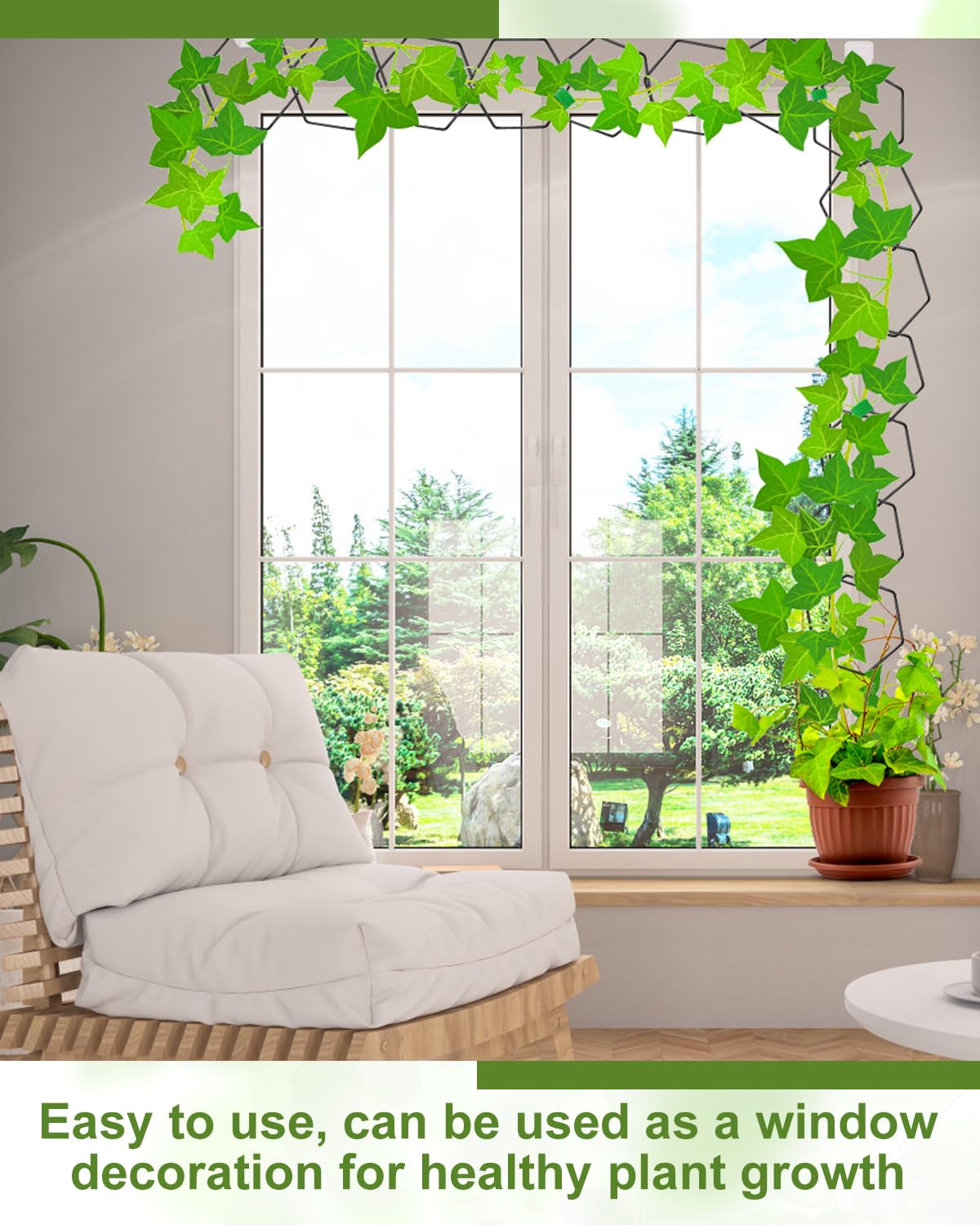 Sousac hexagonal ring design supports hoyas, ivy, monstera.