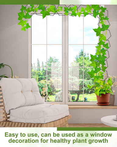 Sousac hexagonal ring design supports hoyas, ivy, monstera.