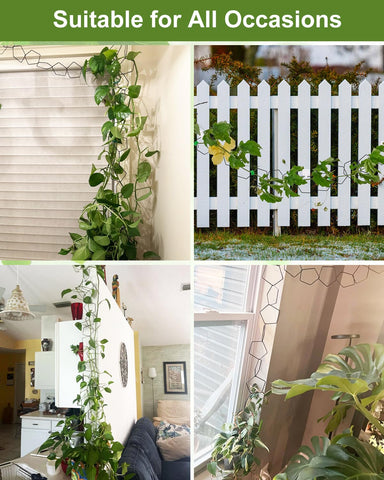 Sousac versatile plant support for balconies and walls.