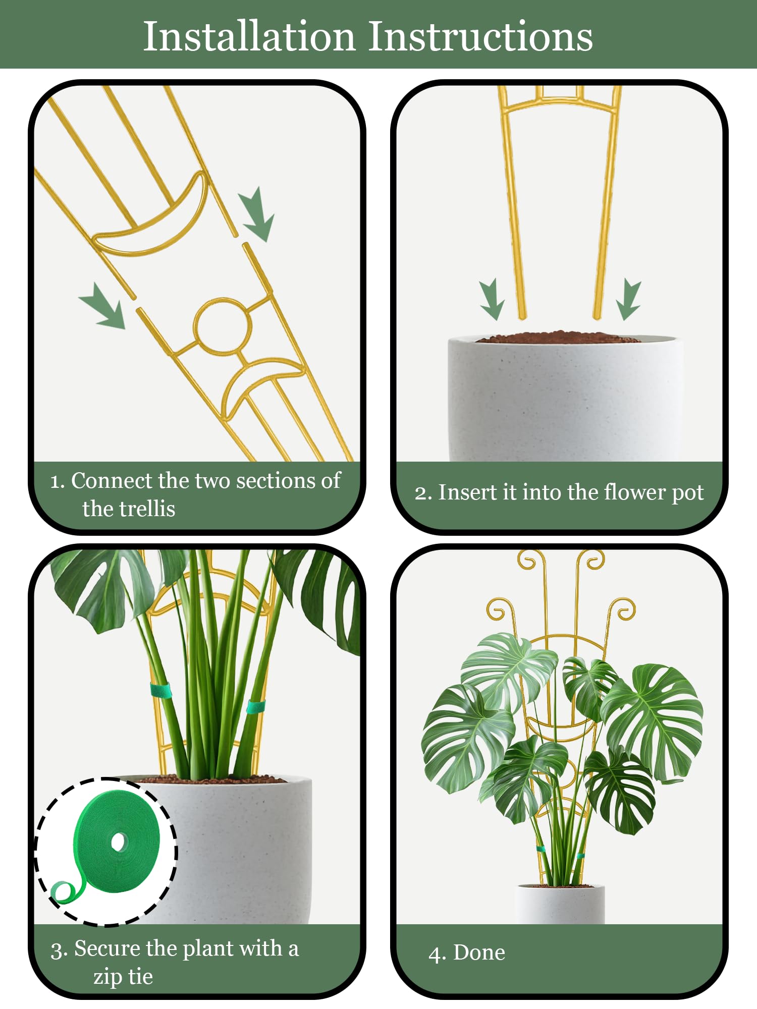 Sousac Monstera, ivy, and hoya support trellis enhances vertical growth.