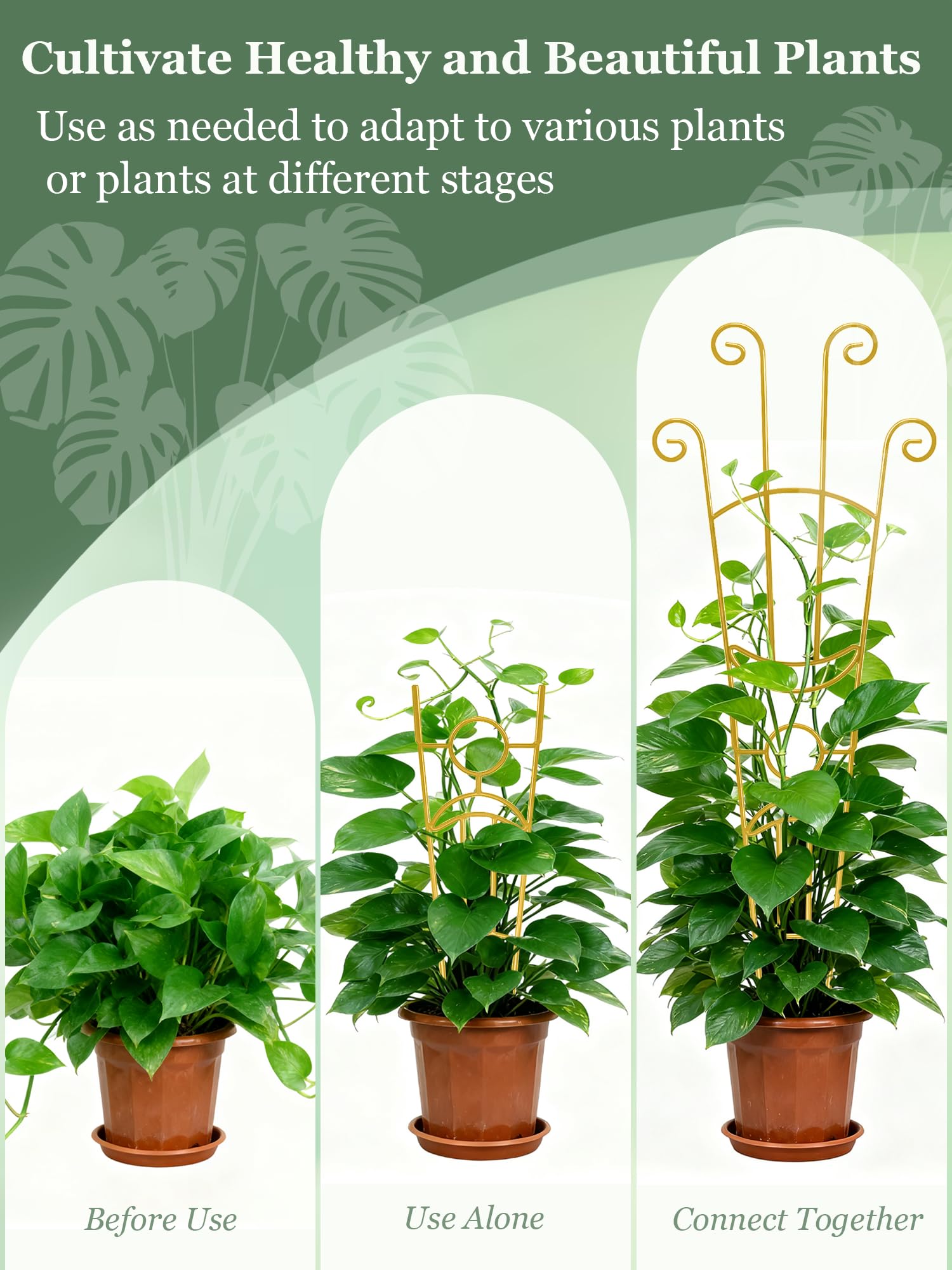 Sousac two-pack expandable trellis set doubles planting support options.