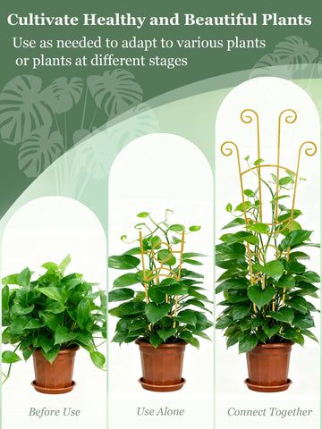 Sousac two-pack expandable trellis set doubles planting support options.