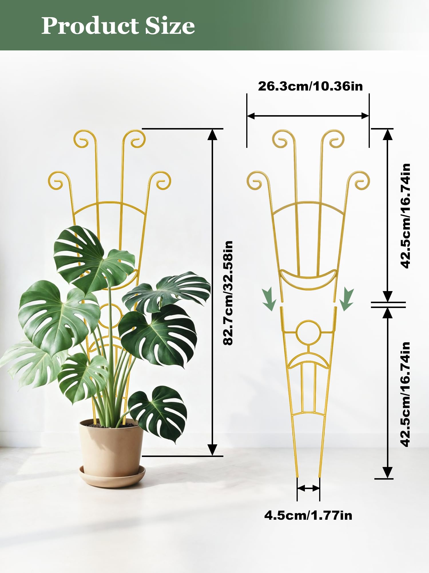 Sousac weighted-base trellis provides stable anchor for climbing plants.