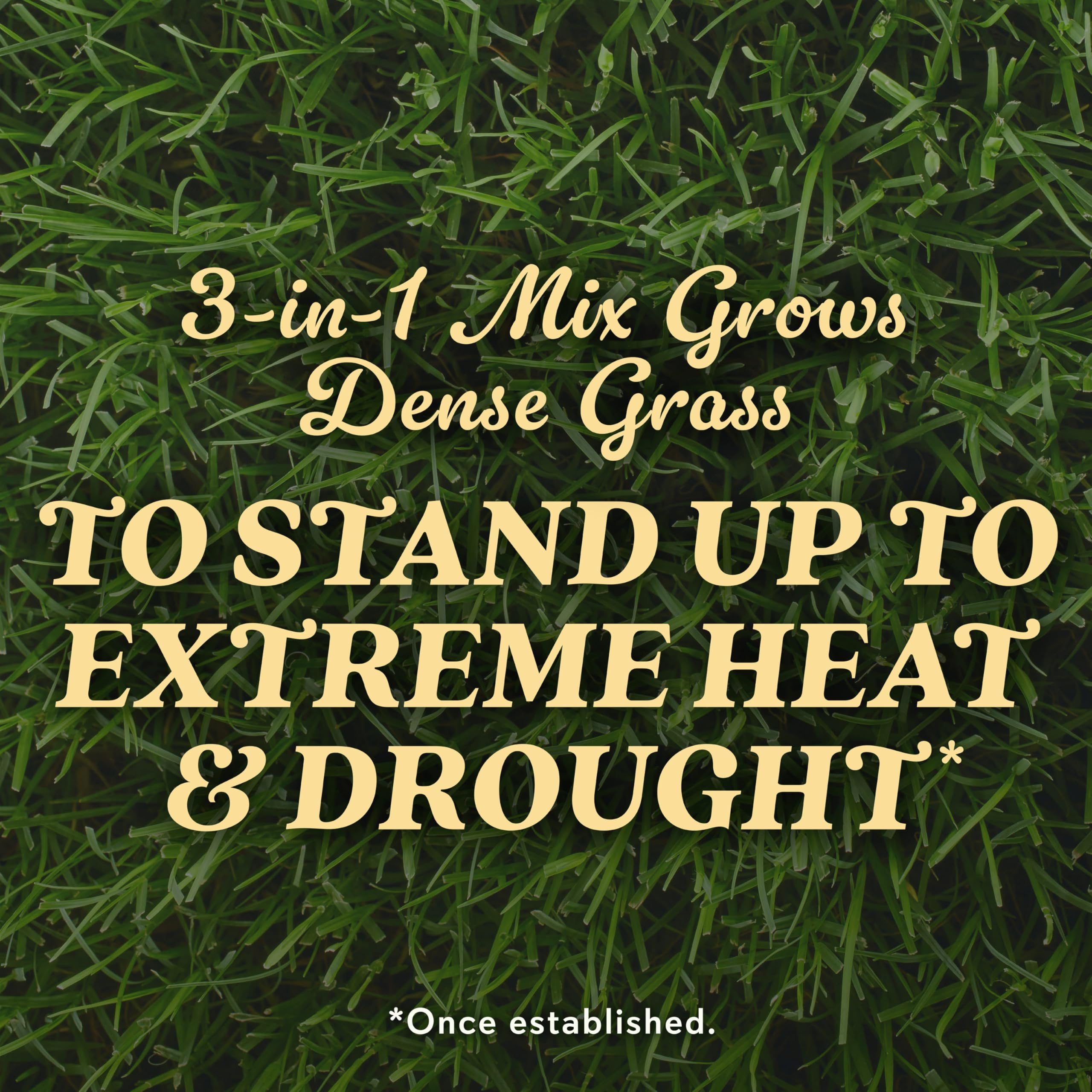 Heat and dry conditions suitable for Bermudagrass in southern regions.
