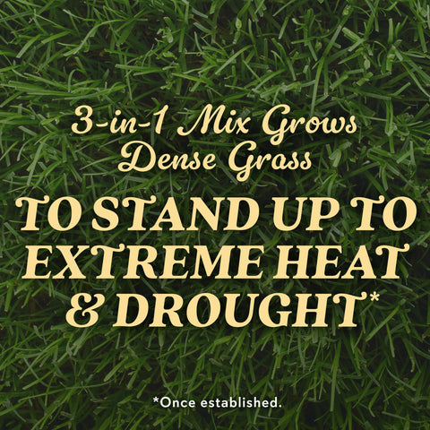 Heat and dry conditions suitable for Bermudagrass in southern regions.