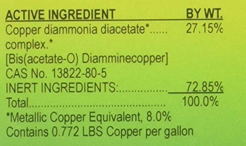 Southern Ag Liquid Copper Fungicide label on 16 oz container for turf algae and ornamentals.