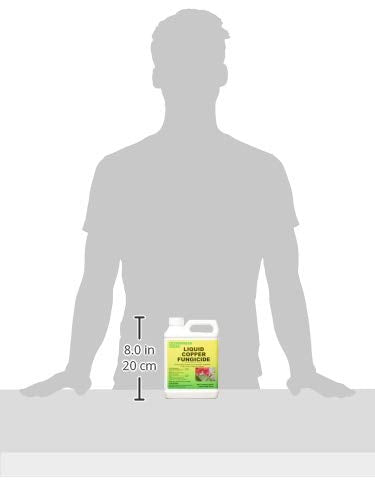 Southern Ag Liquid Copper Fungicide helps moss and algae control on outdoor surfaces.