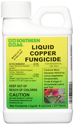 Southern Ag Liquid Copper Fungicide applied to live oaks for moss control.