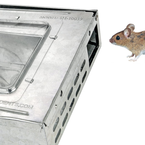 Southern Homewares humane mouse trap pet-safe design protects indoor pets