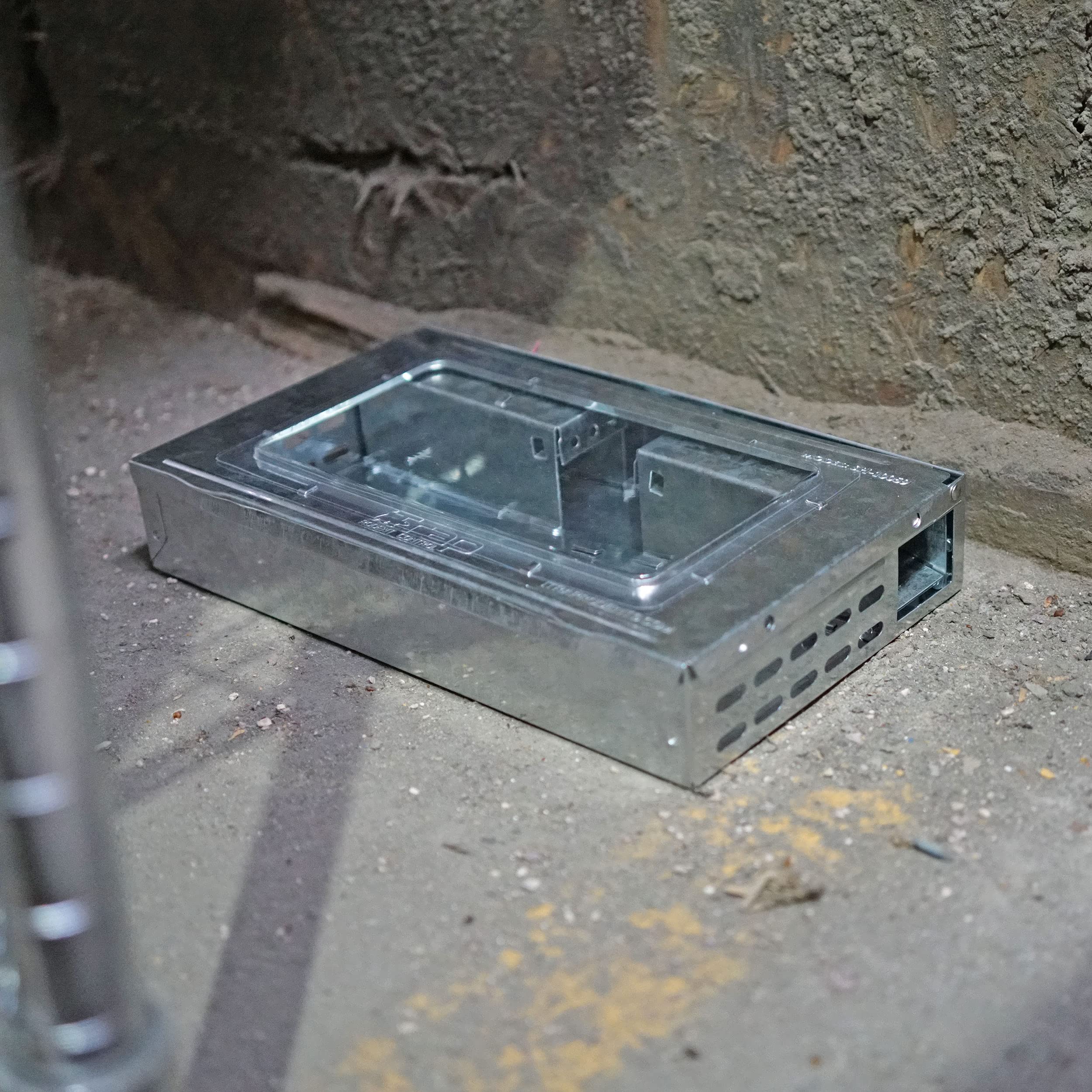 Southern Homewares humane mouse trap easy release after capture