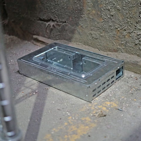 Southern Homewares humane mouse trap easy release after capture
