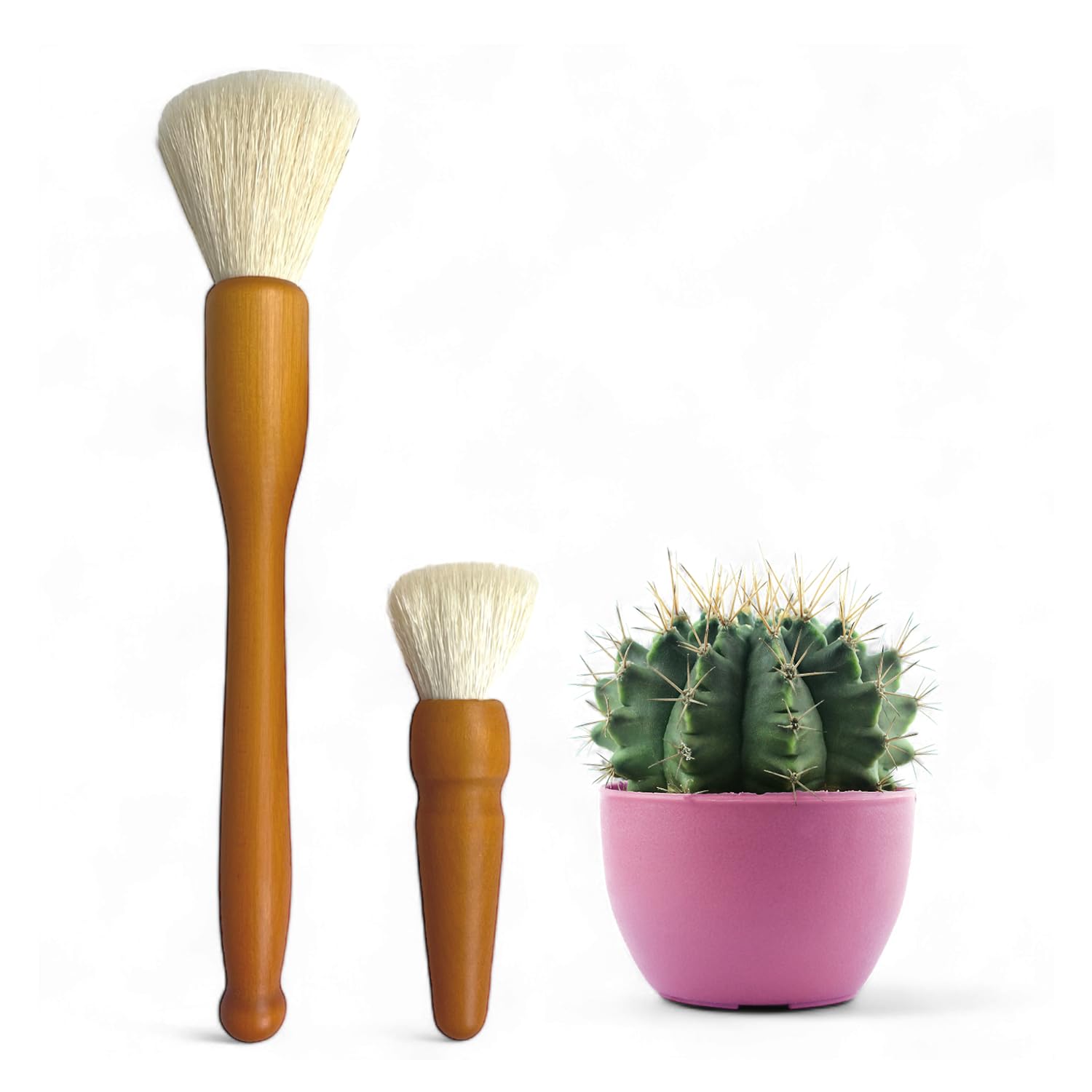 Southside Plants cactus brush 7-inch, gentle between spines for safe cleaning.