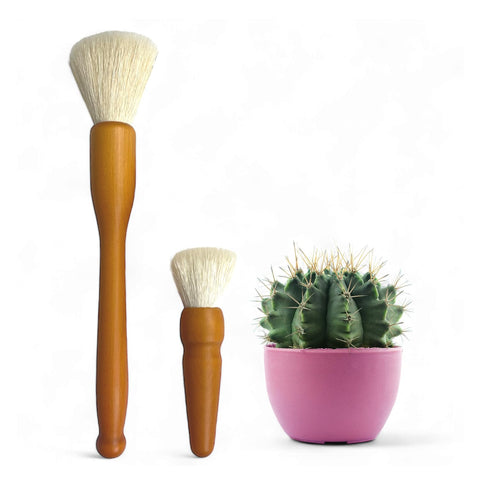 Southside Plants cactus brush 7-inch, gentle between spines for safe cleaning.