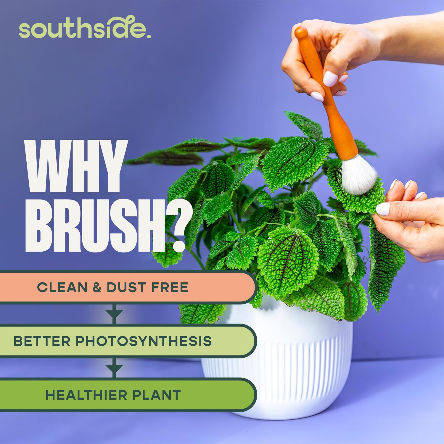 Southside Plants goat hair bristles brush for delicate, scratch-free plant cleaning.