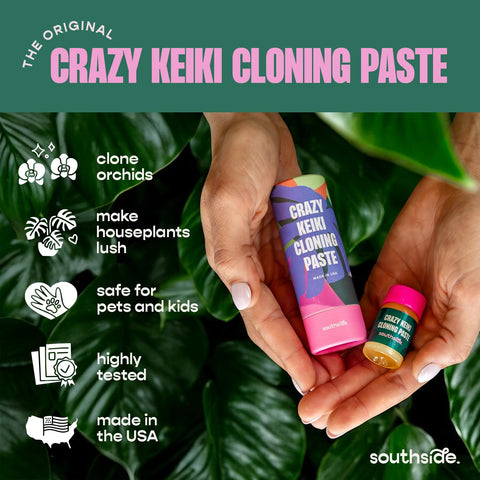 Southside Plants Keiki Paste may encourage orchid bloom potential beneath flower branches.