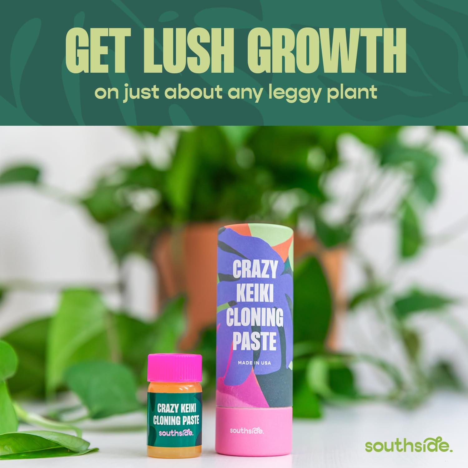 Southside Plants Keiki Paste on leggy vines promotes fuller, balanced growth.
