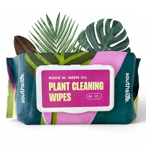 Southside Plants plant wipes packaging 80ct for convenient indoor plant cleaning.