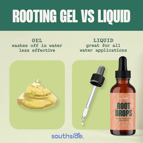Root Drops used with moss propagation to accelerate root growth