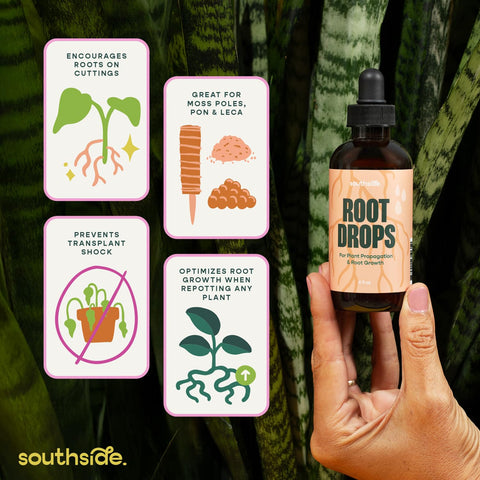 Root Drops used in water propagation to support steady root development