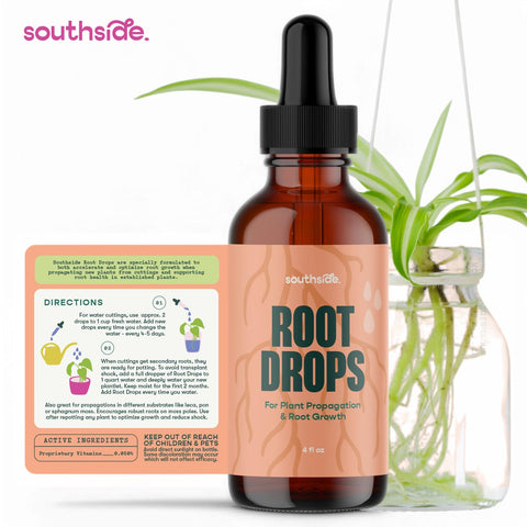 Closeup of healthy roots after applying Root Drops for robust growth