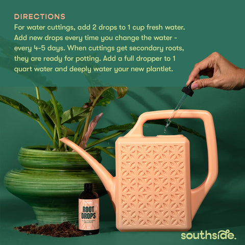 Root Drops aiding soil transplant to reduce stress during repotting