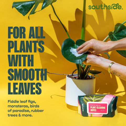 Southside Plants unscented label emphasizes chemical-free, plant-friendly care.