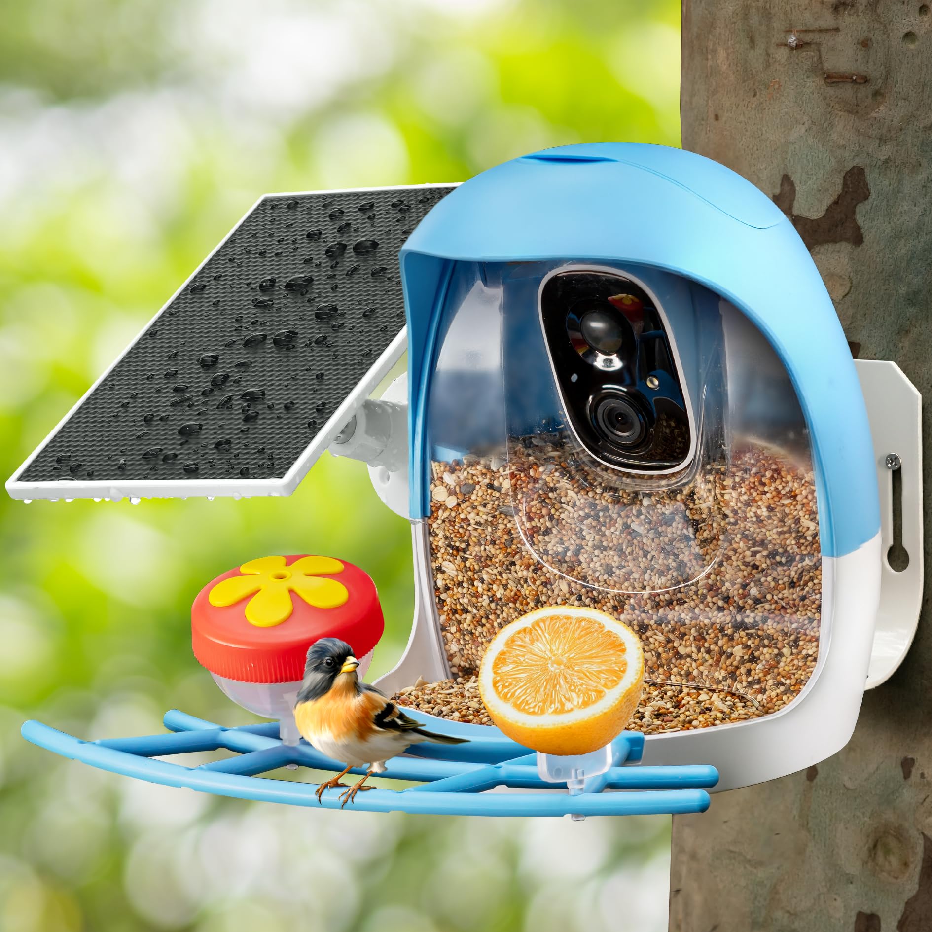 Sovmiku FCG6 bird feeder camera view captures birds in sharp detail for backyard birdwatching