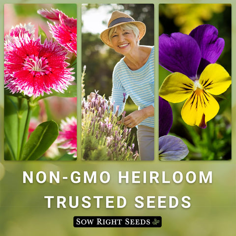 Sow Right Seeds eco-friendly packaging showcases non-GMO heirloom seeds.