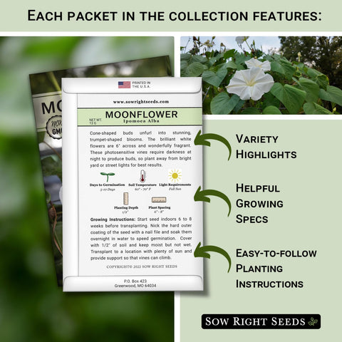 Sow Right Seeds alyssum white carpet bloom creates a soft groundcover for containers.