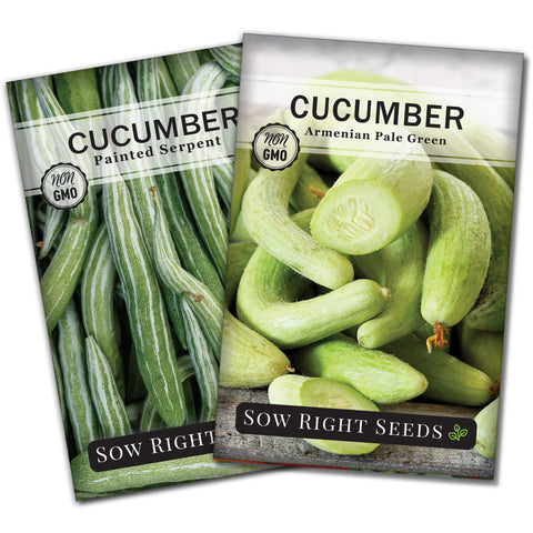 Sow Right Seeds Armenian pale green cucumber seed packet ready for spring planting.