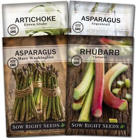 Sow Right Seeds artichoke packet with Green Globe for reliable perennial harvest