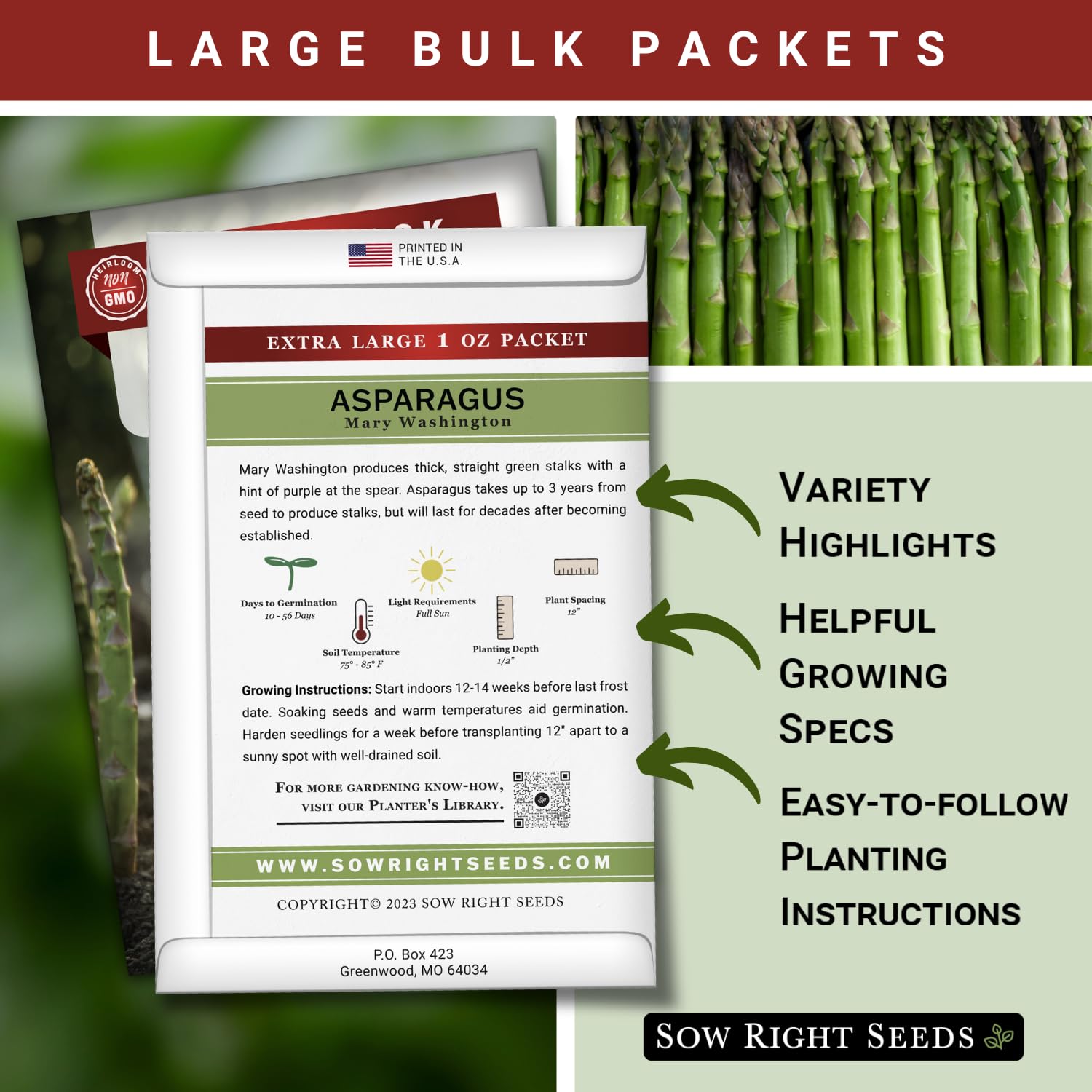 Sow Right Seeds asparagus germination in warm soil signals early growth potential.